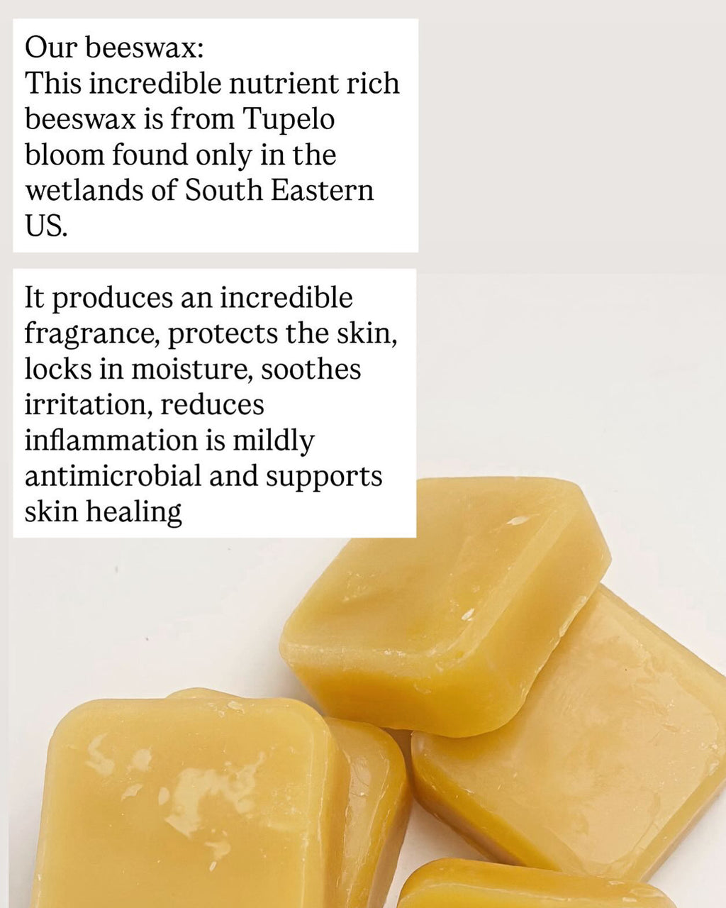 Rose Almond Tallow Lip Balm